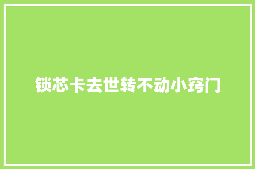 锁芯卡去世转不动小窍门