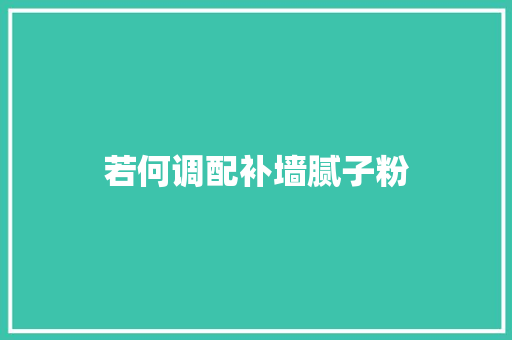 若何调配补墙腻子粉 汽车知识
