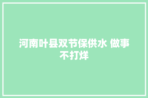 河南叶县双节保供水 做事不打烊