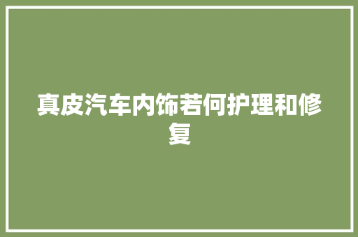 真皮汽车内饰若何护理和修复