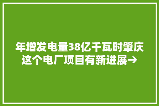 年增发电量38亿千瓦时肇庆这个电厂项目有新进展→