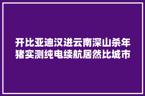 开比亚迪汉进云南深山杀年猪实测纯电续航居然比城市运用还高
