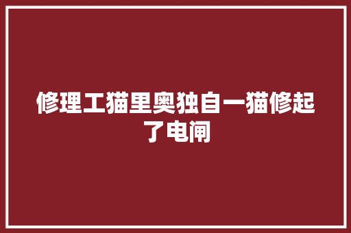 修理工猫里奥独自一猫修起了电闸