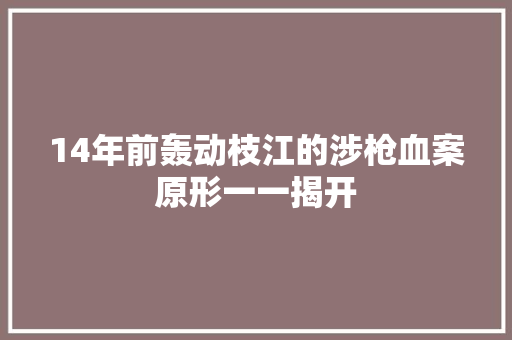 14年前轰动枝江的涉枪血案原形一一揭开