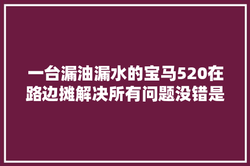 一台漏油漏水的宝马520在路边摊解决所有问题没错是路边摊