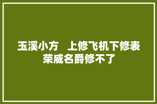玉溪小方   上修飞机下修表荣威名爵修不了
