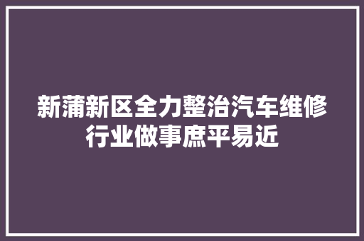 新蒲新区全力整治汽车维修行业做事庶平易近