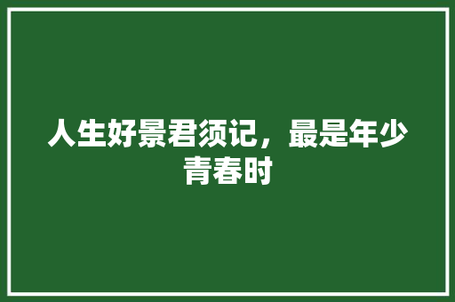 人生好景君须记，最是年少青春时