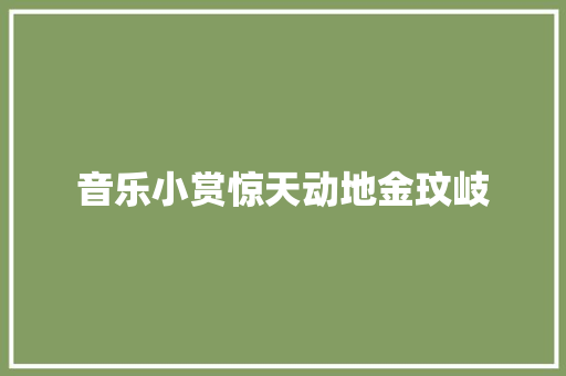 音乐小赏惊天动地金玟岐 休闲娱乐