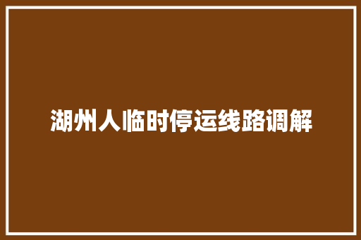湖州人临时停运线路调解