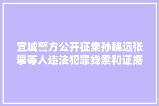 宜城警方公开征集孙晓远张攀等人违法犯罪线索和证据