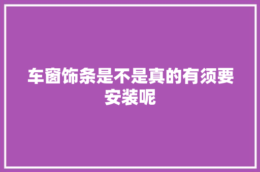 车窗饰条是不是真的有须要安装呢