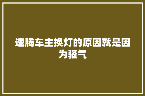速腾车主换灯的原因就是因为骚气