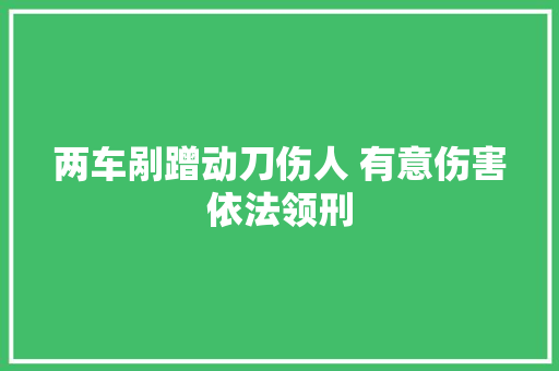 两车剐蹭动刀伤人 有意伤害依法领刑