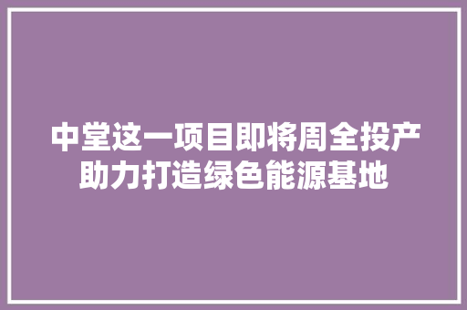 中堂这一项目即将周全投产助力打造绿色能源基地
