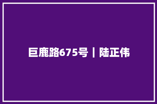 巨鹿路675号｜陆正伟