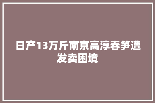 日产13万斤南京高淳春笋遭发卖困境
