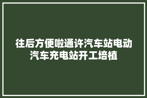 往后方便啦通许汽车站电动汽车充电站开工培植 汽车知识