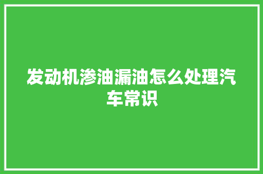 发动机渗油漏油怎么处理汽车常识
