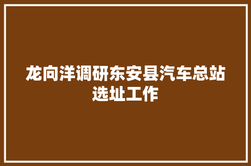 龙向洋调研东安县汽车总站选址工作