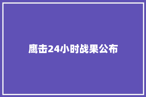 鹰击24小时战果公布