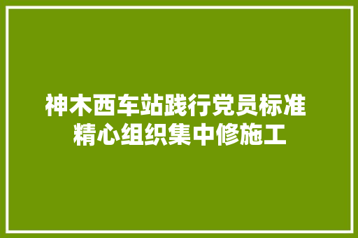 神木西车站践行党员标准 精心组织集中修施工