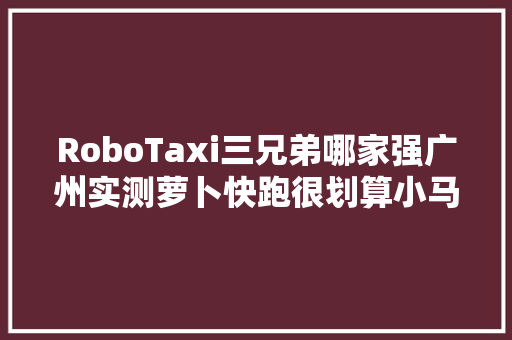 RoboTaxi三兄弟哪家强广州实测萝卜快跑很划算小马智行惊艳