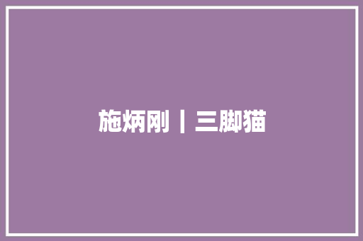 施炳刚｜三脚猫