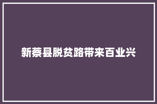 新蔡县脱贫路带来百业兴