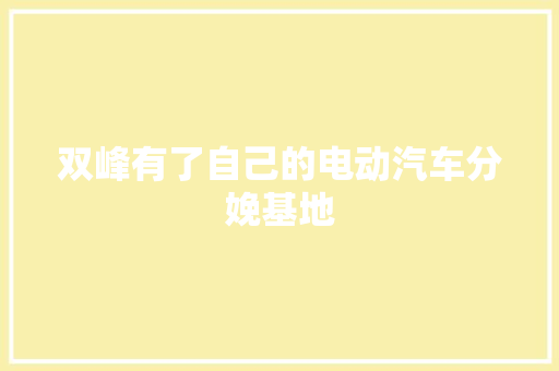 双峰有了自己的电动汽车分娩基地