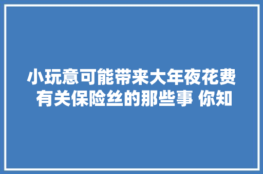 小玩意可能带来大年夜花费 有关保险丝的那些事 你知道吗