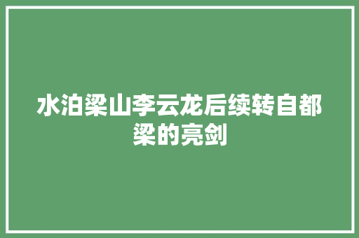 水泊梁山李云龙后续转自都梁的亮剑 汽车知识