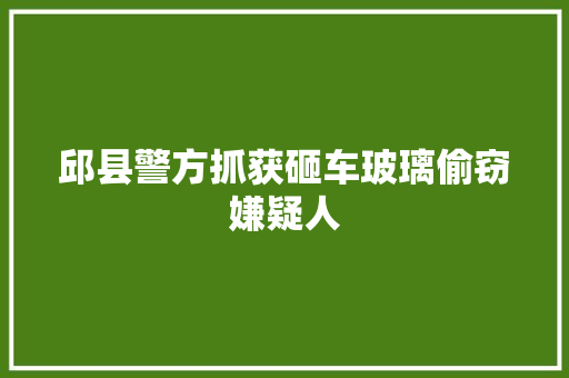 邱县警方抓获砸车玻璃偷窃嫌疑人