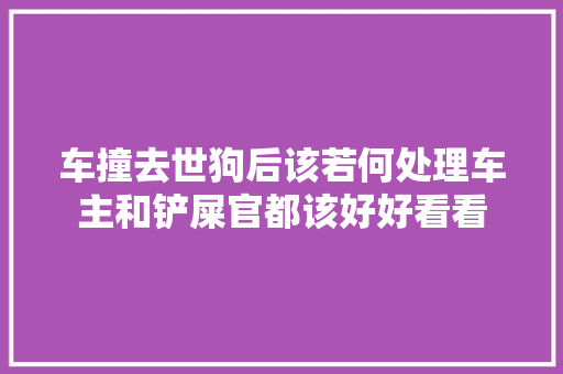 车撞去世狗后该若何处理车主和铲屎官都该好好看看