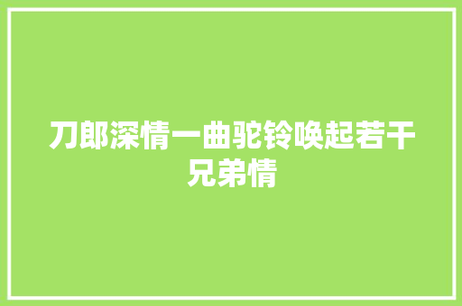 刀郎深情一曲驼铃唤起若干兄弟情