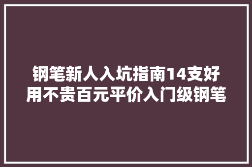 钢笔新人入坑指南14支好用不贵百元平价入门级钢笔横评