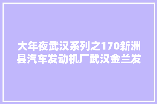 大年夜武汉系列之170新洲县汽车发动机厂武汉金兰发动机有限公司