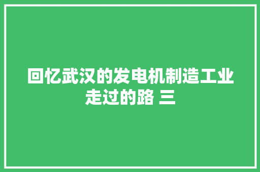 回忆武汉的发电机制造工业走过的路 三