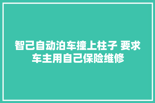 智己自动泊车撞上柱子 要求车主用自己保险维修