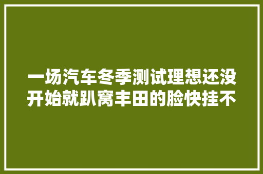 一场汽车冬季测试理想还没开始就趴窝丰田的脸快挂不住了