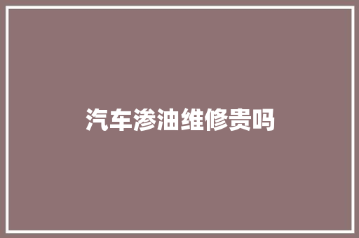 汽车渗油维修贵吗