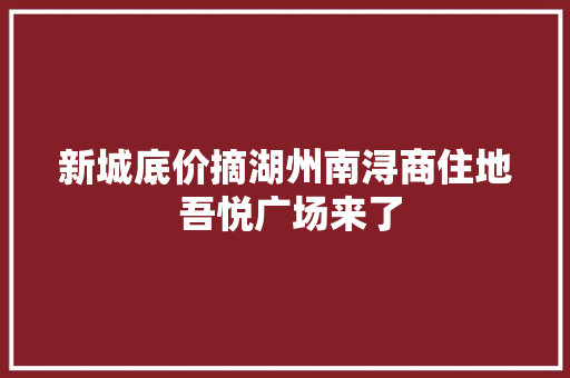 新城底价摘湖州南浔商住地 吾悦广场来了