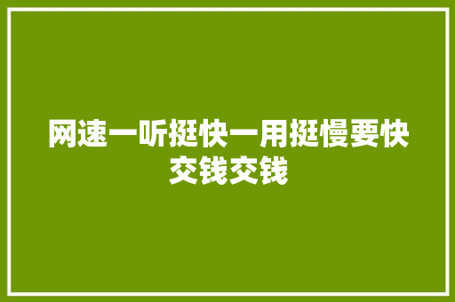 网速一听挺快一用挺慢要快交钱交钱