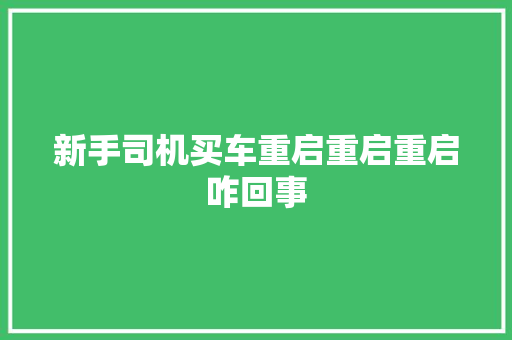 新手司机买车重启重启重启咋回事