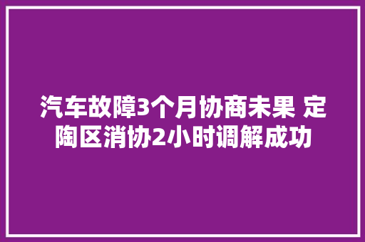 汽车故障3个月协商未果 定陶区消协2小时调解成功