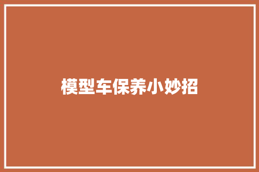 模型车保养小妙招