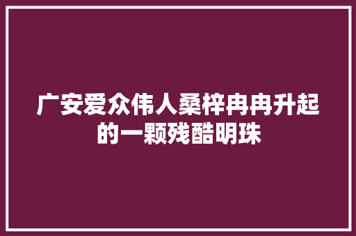 广安爱众伟人桑梓冉冉升起的一颗残酷明珠