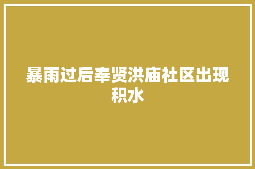 暴雨过后奉贤洪庙社区出现积水