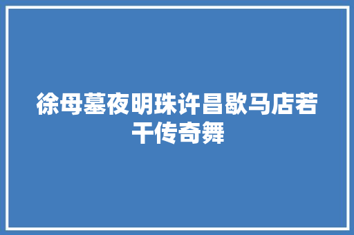 徐母墓夜明珠许昌歇马店若干传奇舞