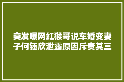 突发曝网红猴哥说车婚变妻子何钰欣泄露原因斥责其三不
